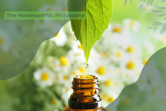 A single drop falling from a green leaf into a small amber homeopathy bottle, with chamomile flowers in the background, representing the homeopathic philosophy at HEAAL Homeopathy Clinic in Hyderabad.