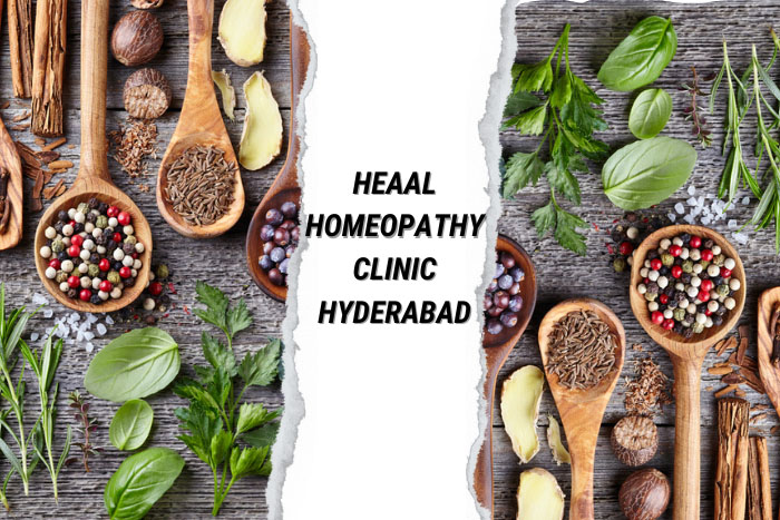 Assorted herbs and spices in wooden spoons on a rustic table with HEAAL Homeopathy Clinic branding, highlighting the natural, holistic ingredients used in treatments at the Hyderabad clinic.