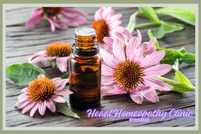 A small amber glass bottle of homeopathic medicine amid pink echinacea flowers, capturing the essence of natural healing at HEAAL Homeopathy Clinic in Hyderabad.