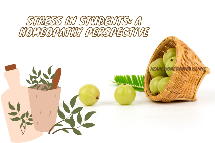 A visual guide to managing student stress through homeopathy, with a basket of amla symbolizing wellness at Chanda Nagar’s HEAAL Homeopathy Clinic, Hyderabad