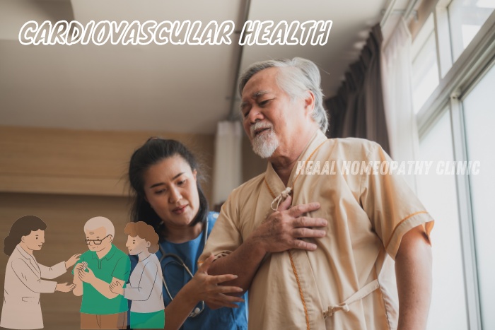 Comprehensive cardiovascular health care at HEAAL Homeopathy Clinic in Chanda Nagar, Hyderabad. Effective homeopathic treatments for heart conditions in seniors. Promoting holistic heart health with personalized care