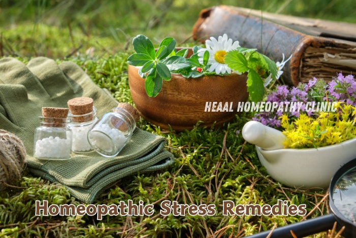 Image featuring homeopathic stress remedies including flower petals and homeopathic vials set in a natural environment. HEAAL Homeopathy Clinic in Chanda Nagar, Hyderabad offers natural solutions to alleviate stress and promote relaxation