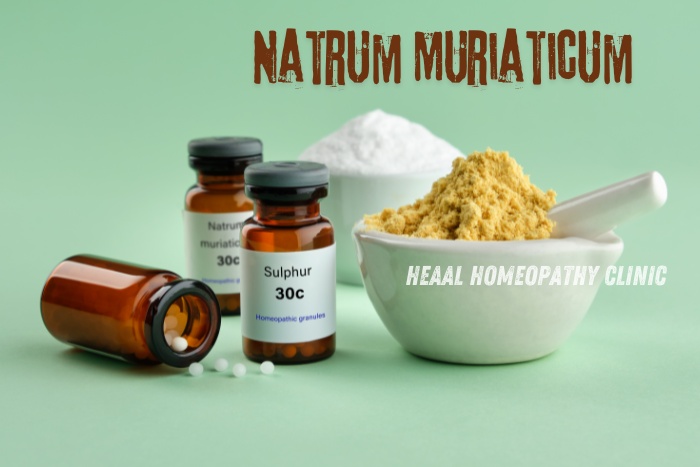 Image featuring Natrum Muriaticum and Sulphur homeopathic remedies in granule form, displayed with powdered substances. HEAAL Homeopathy Clinic in Chanda Nagar, Hyderabad provides personalized homeopathic treatments using Natrum Muriaticum for various health conditions