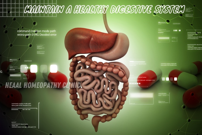 Maintain a healthy digestive system with homeopathic care at HEAAL Homeopathy Clinic in Chanda Nagar, Hyderabad. Effective treatments for optimal digestive health