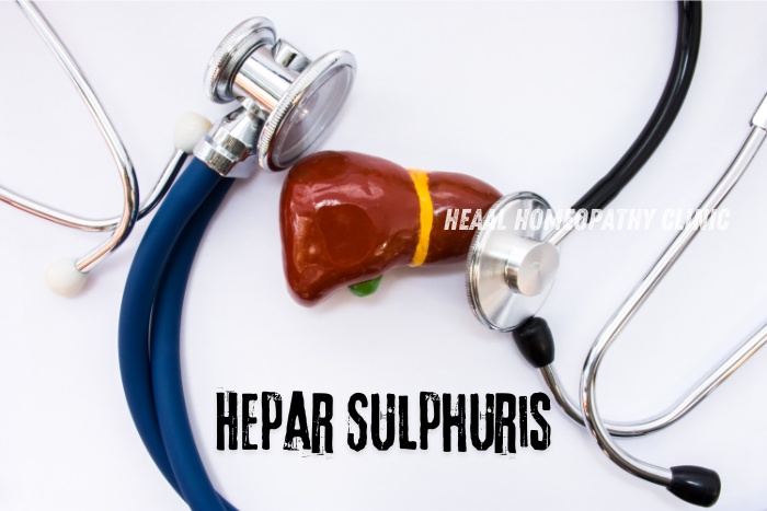 Close-up of medical stethoscope and liver model, symbolizing homeopathic treatment options for liver health at HEAAL Homeopathy Clinic in Chanda Nagar, Hyderabad. Highlighting the use of Hepar Sulphuris as a natural remedy.