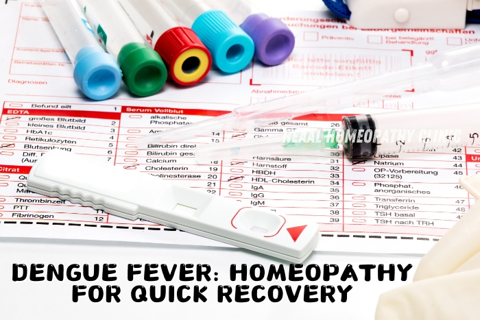 Homeopathy for quick recovery from dengue fever at HEAAL Homeopathy Clinic, Chanda Nagar, Hyderabad, offering natural and effective treatments