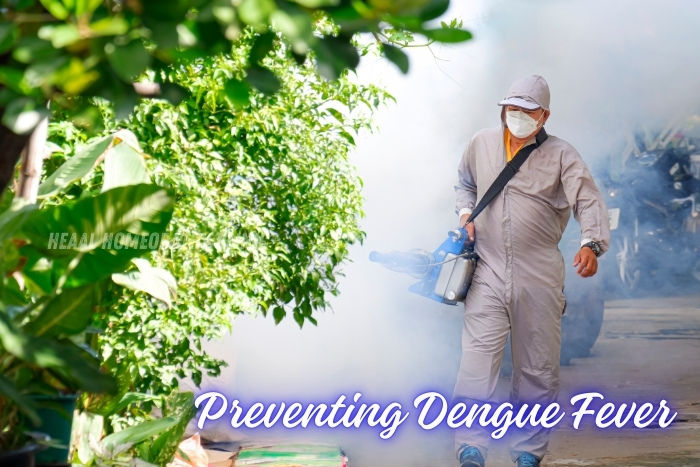 Preventing dengue fever with homeopathic solutions and guidance at HEAAL Homeopathy Clinic, Chanda Nagar, Hyderabad, for improved health and safety.