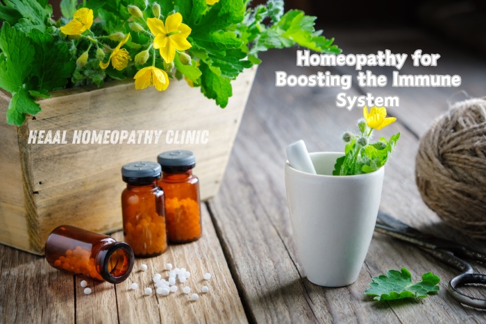 HEAAL Homeopathy Clinic in Chanda Nagar, Hyderabad offers holistic treatments to boost the immune system