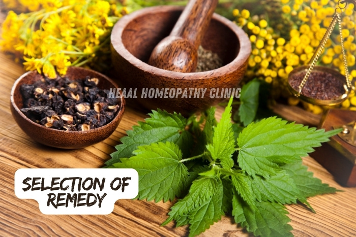 HEAAL homeopathy clinic's personalized selection of remedies for natural healing at Chanda Nagar, Hyderabad