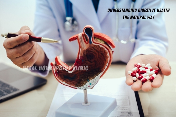 Professional consultation and personalized homeopathy care for better gut health and overall wellness